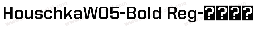 HouschkaW05-Bold Reg字体转换